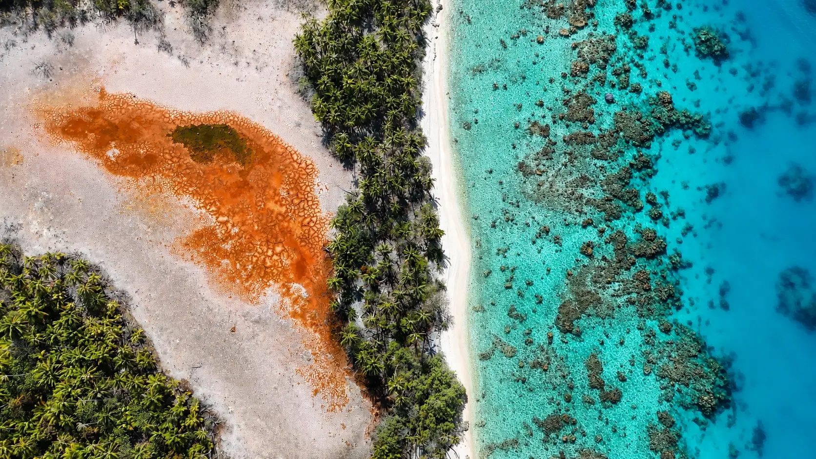 Vue aérienne verticale d’un motu polynésien : végétation, plage de sable blanc et lagon turquoise